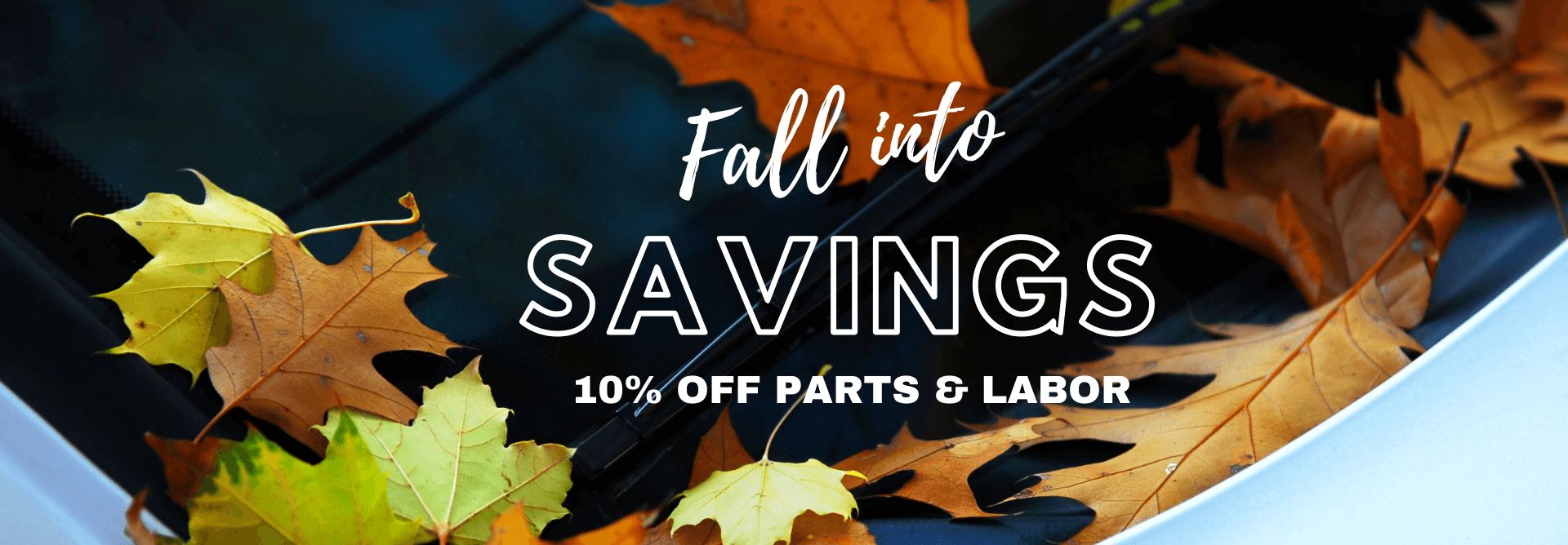 FALL-INTO-SAVINGS